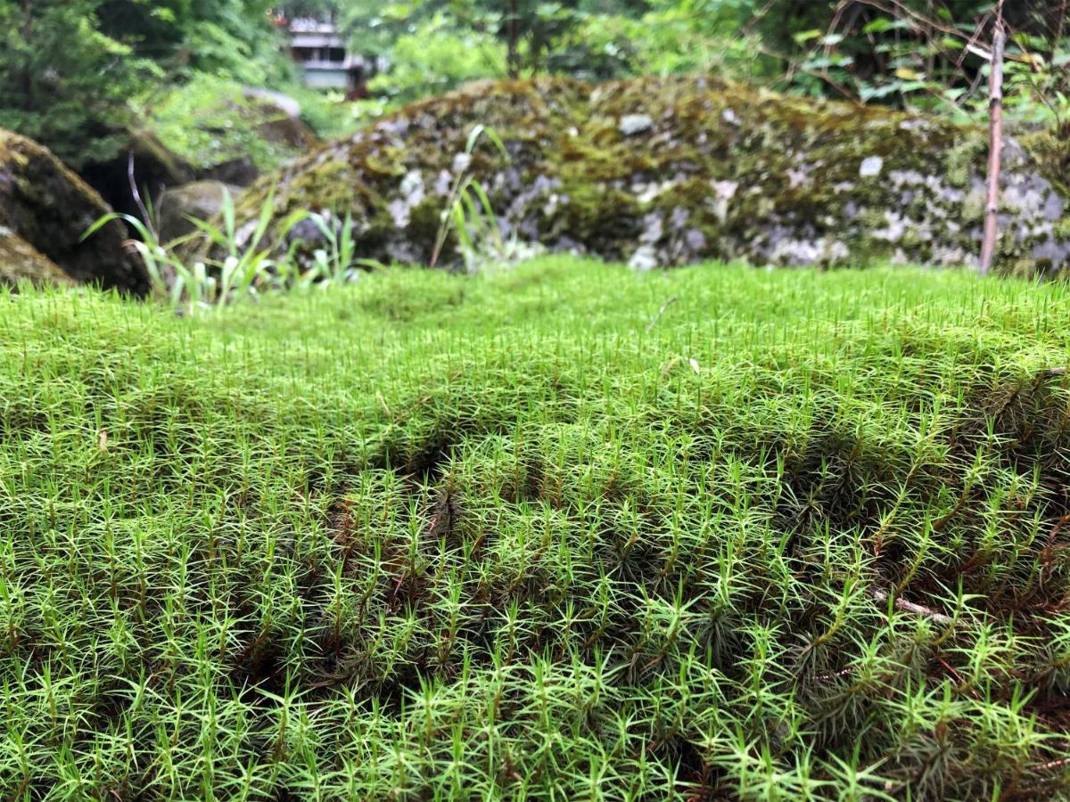 茅野 明治温泉旅馆酒店 外观 照片